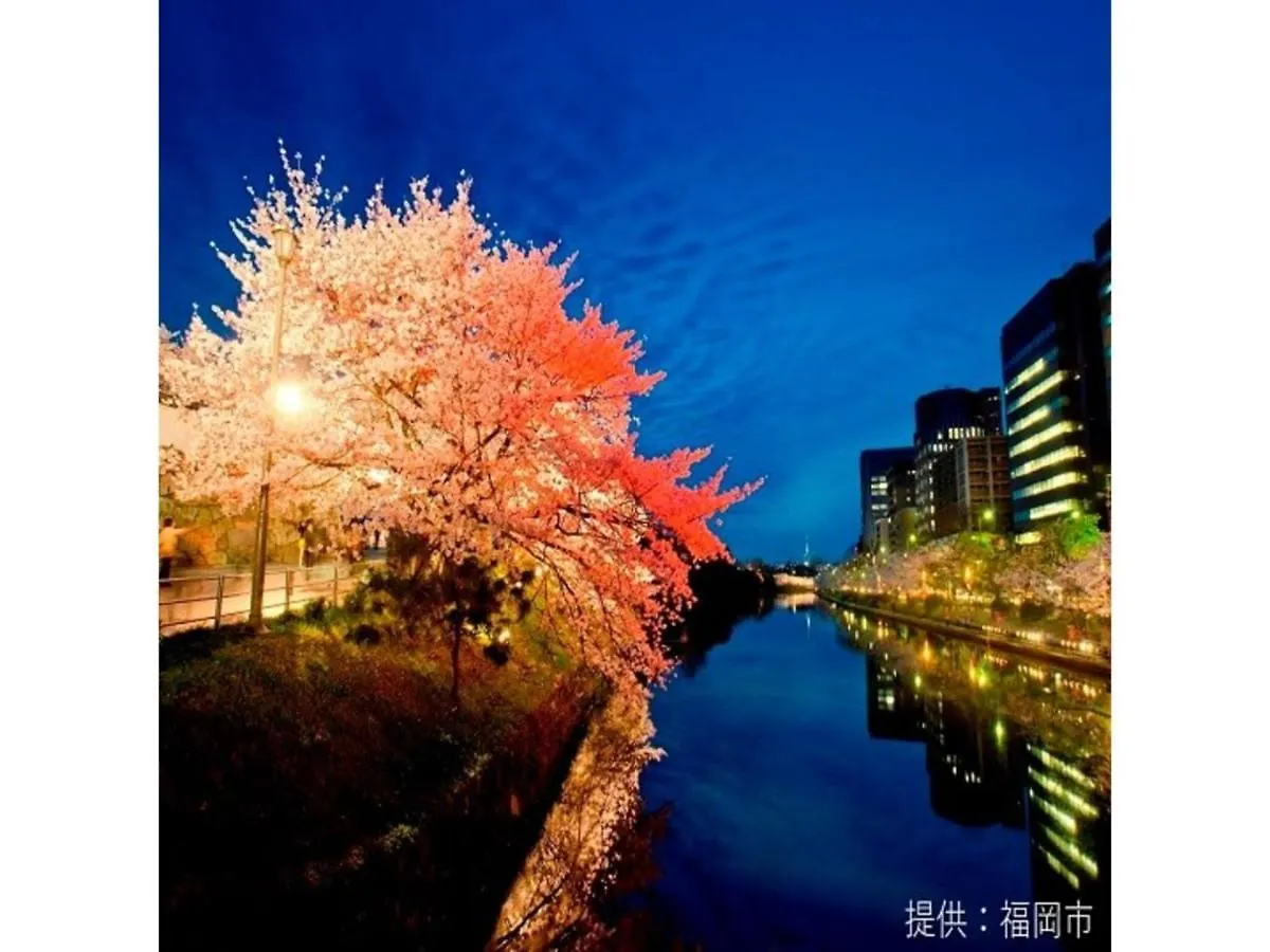 Court Hotel Fukuoka Tenjin - Vacation Stay 42332V 0*, فوكوكا